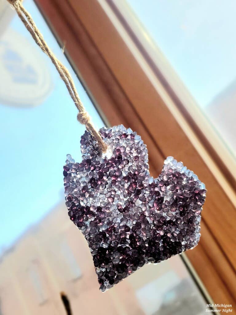 Hanging Air Freshener - Mid-Michigan Summer Nights