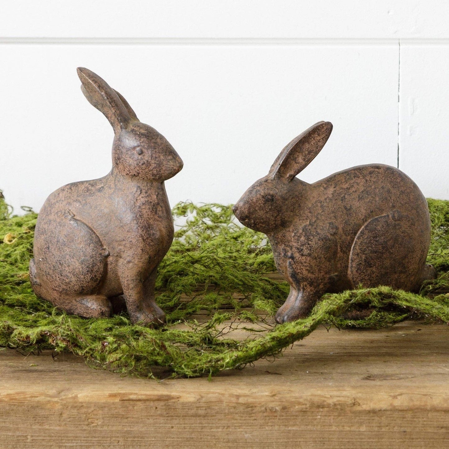 Brown Bunnies - Sitting