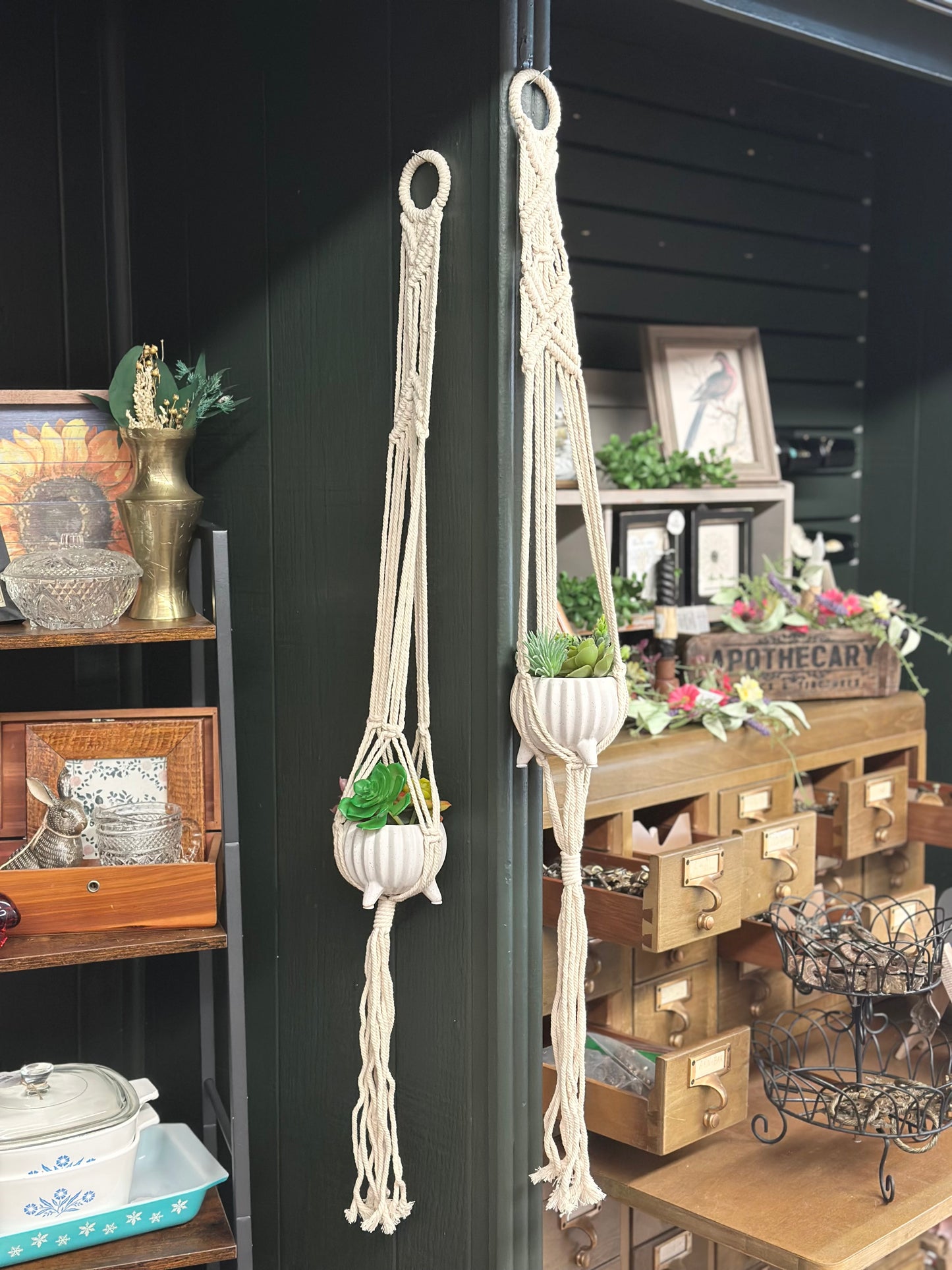 Macrame Plant Hanger, assorted