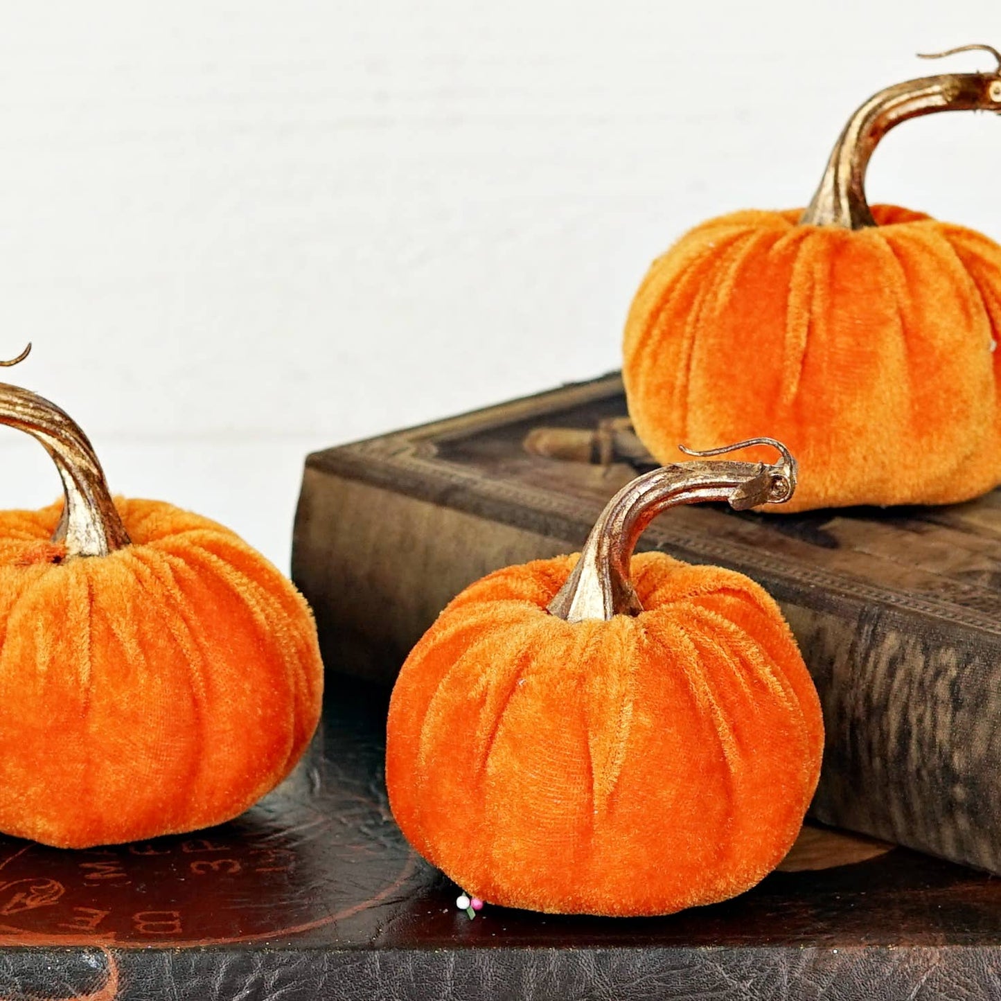 Orange velvet pumpkin w. golden stem