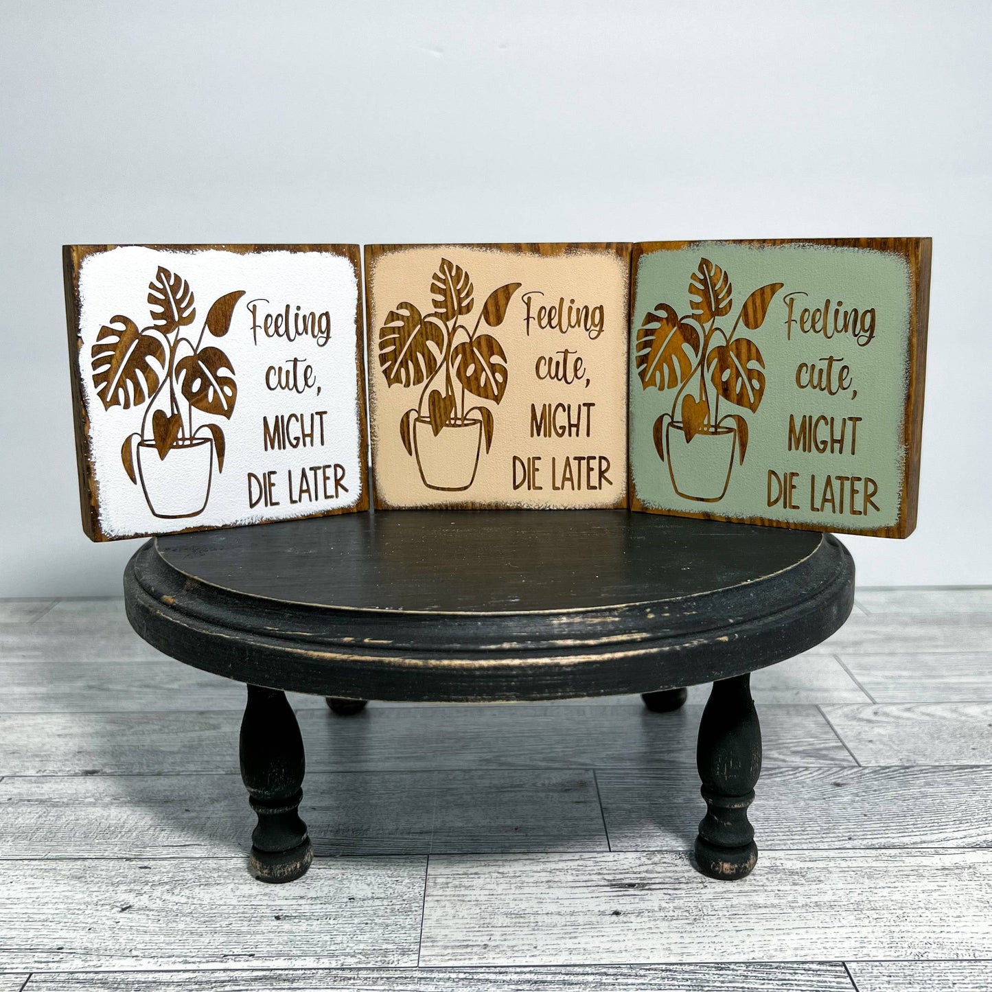 Mini wood sign | Plant lover decor | Farmhouse decor - Cute