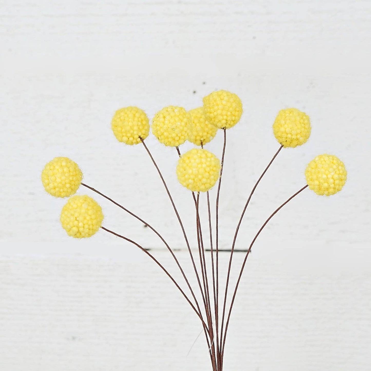 ISB75873- 16inL Billy Ball Bunch-Yellow-