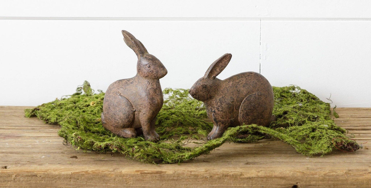 Brown Bunnies - Sitting
