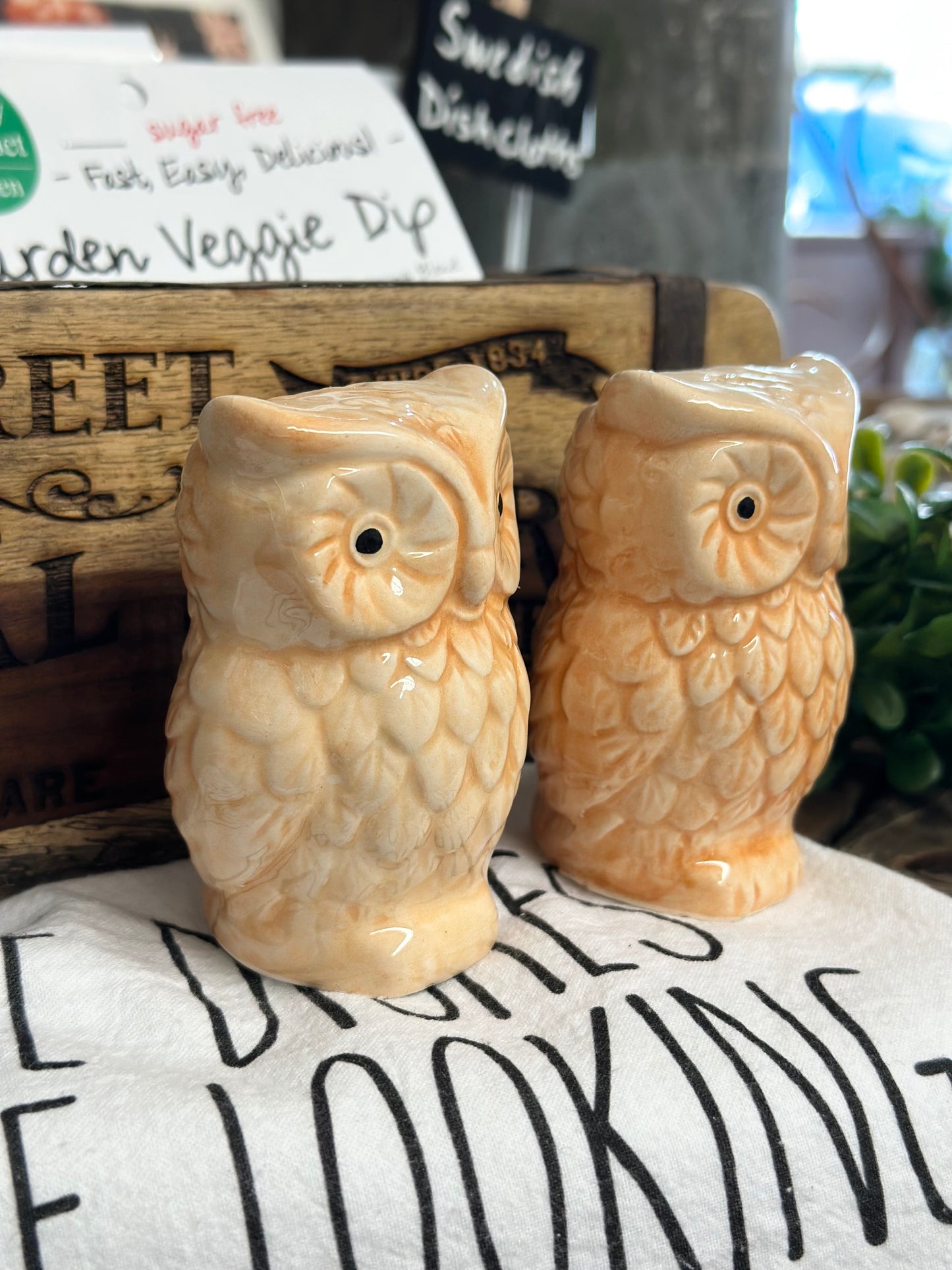 Vintage Ceramic Owl Salt & Pepper Shakers, set