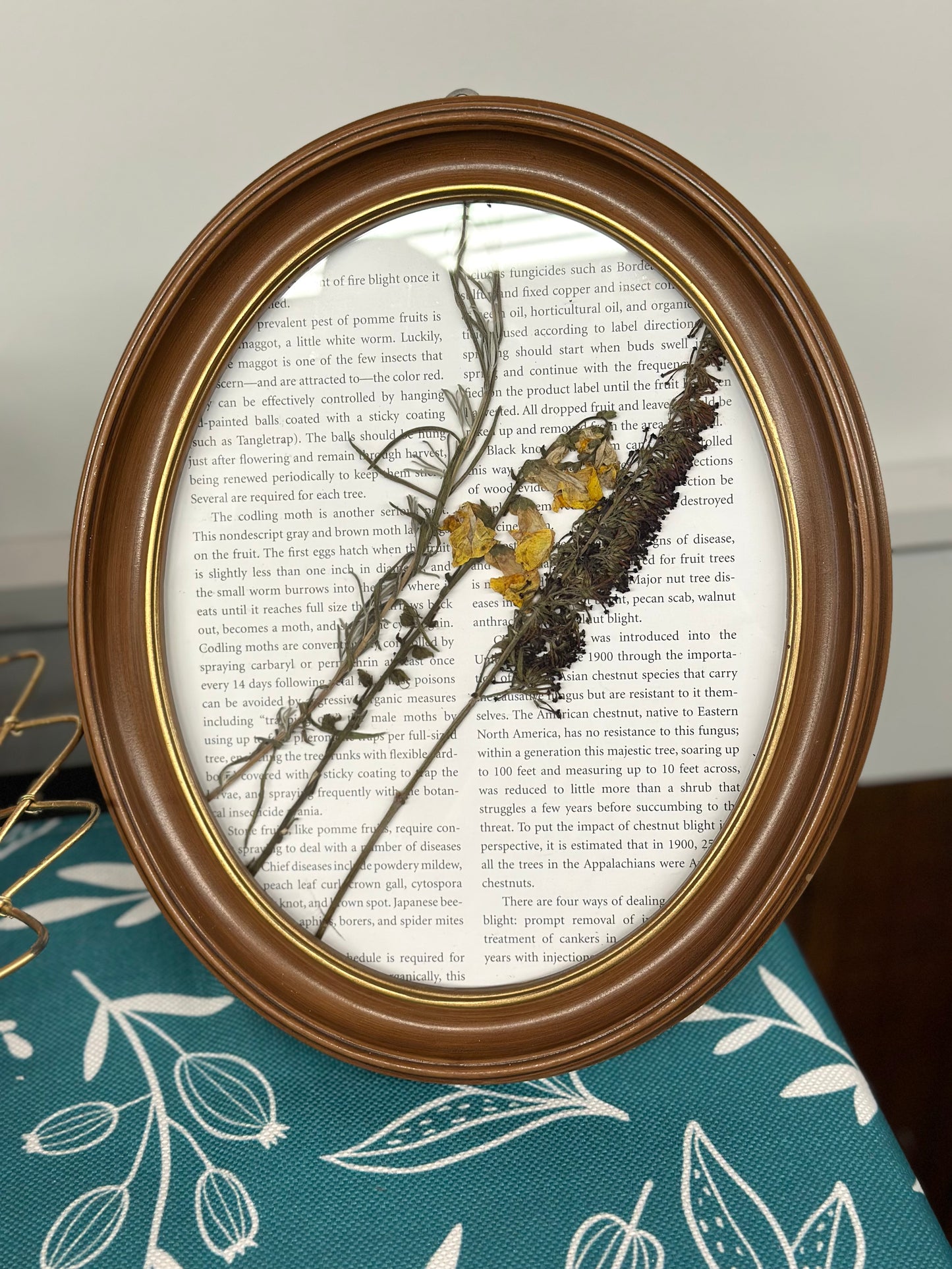 Wood Frame Art