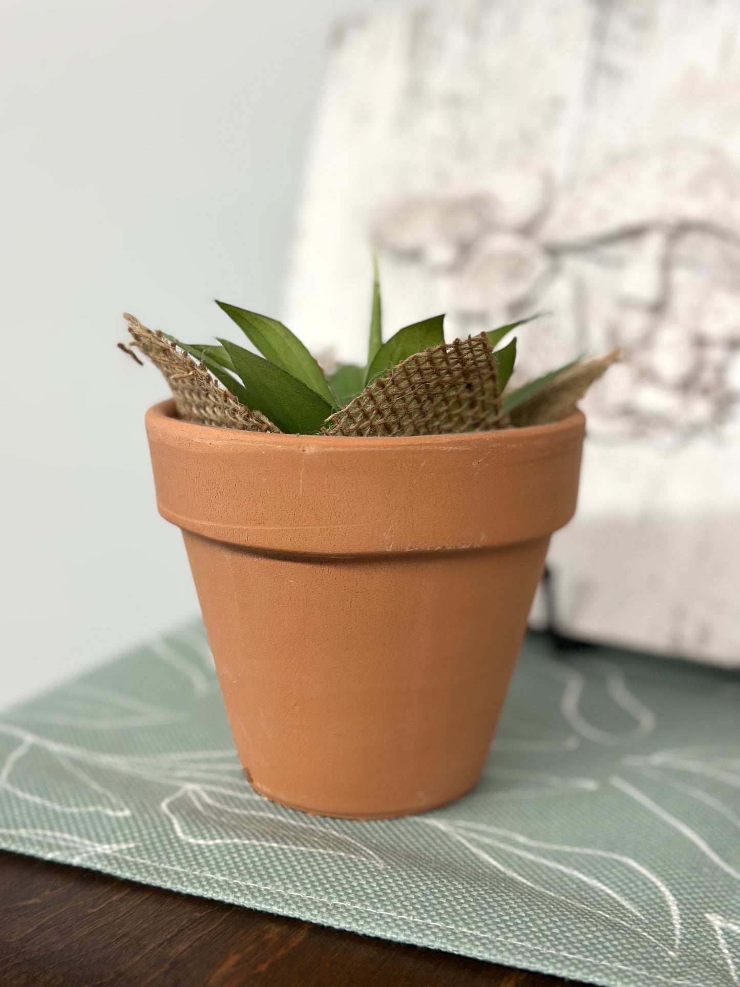 Terracotta Pot w/Succulent