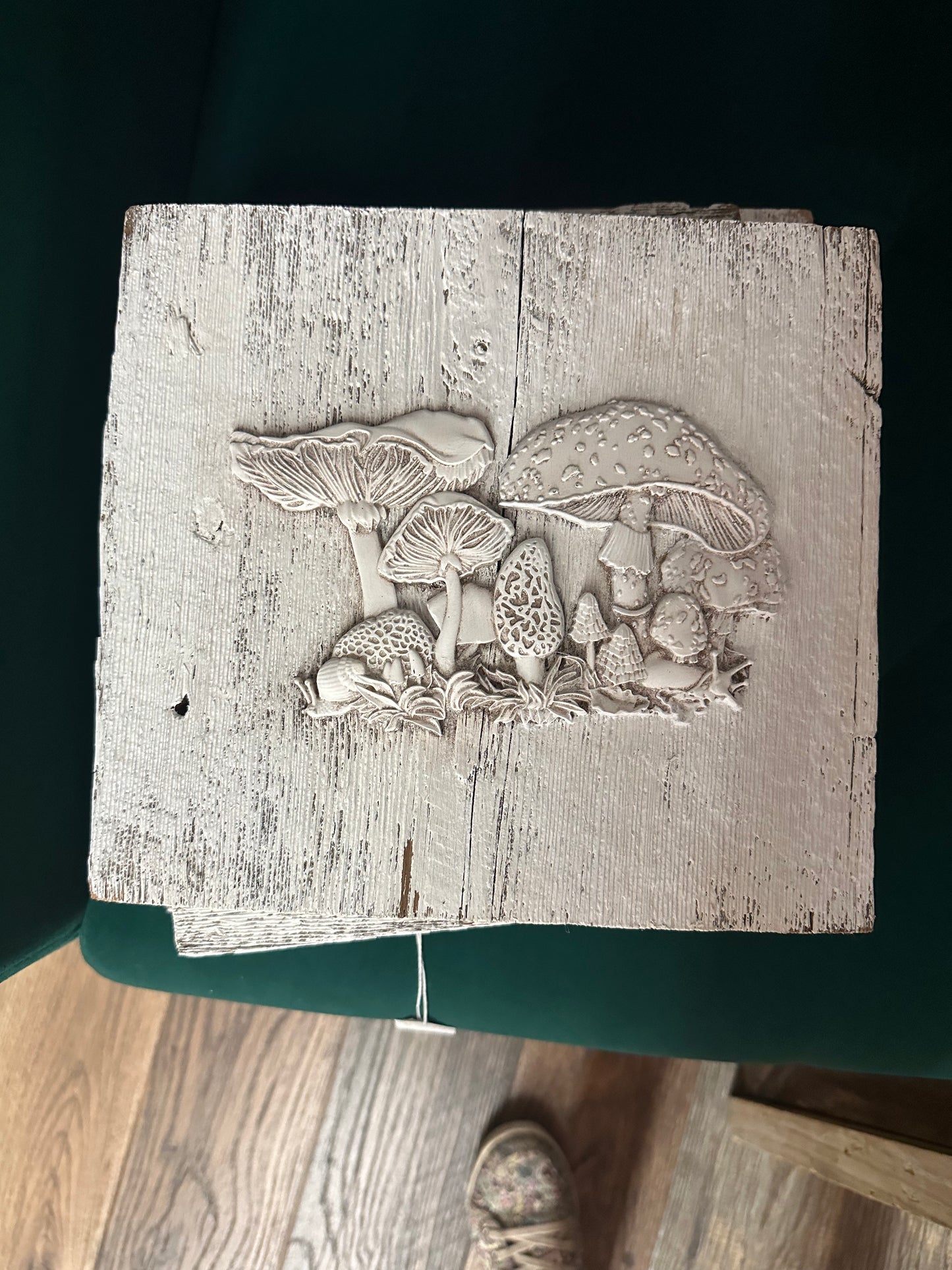 Mushroom Plaques
