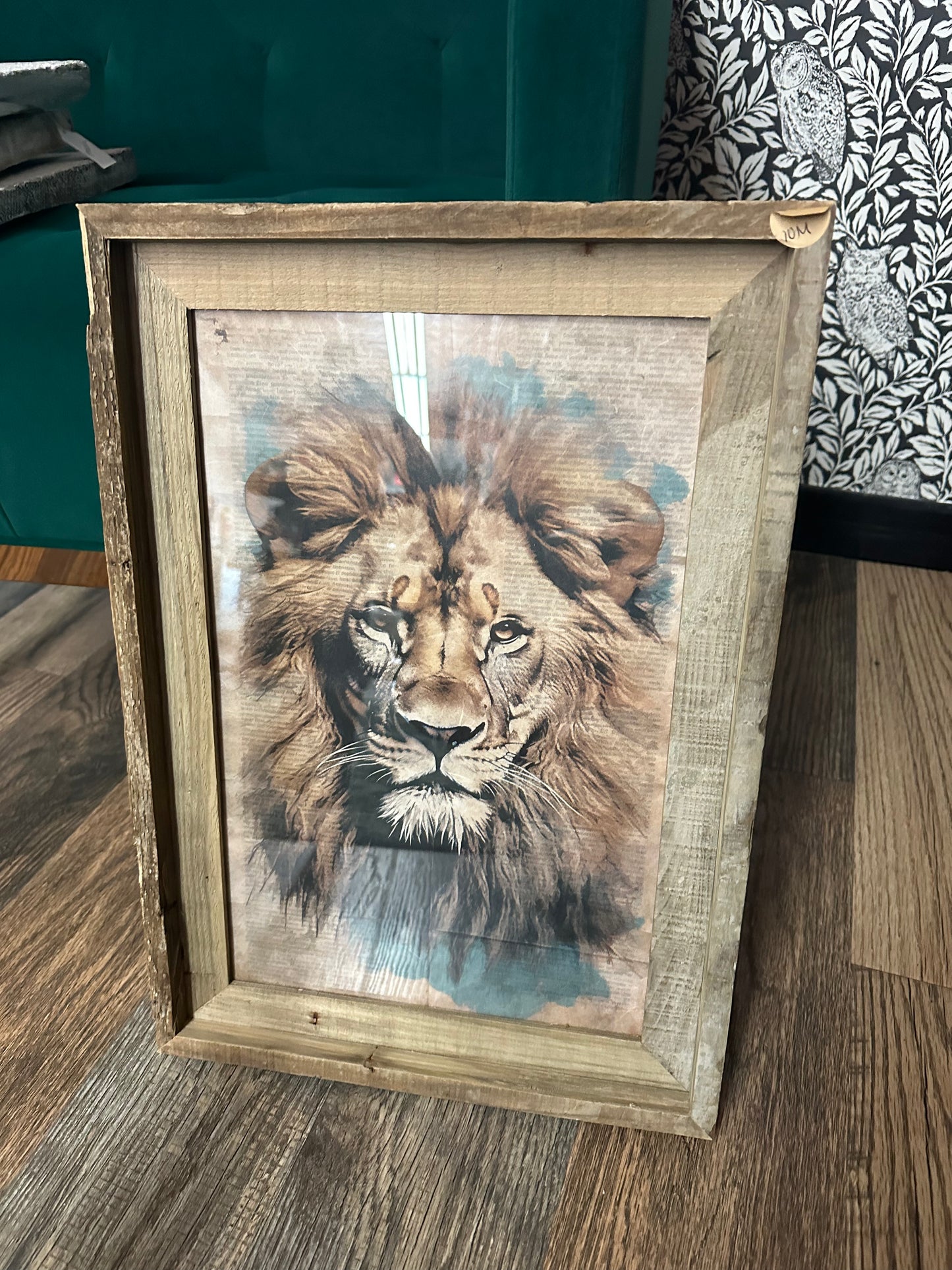 Lion Picture