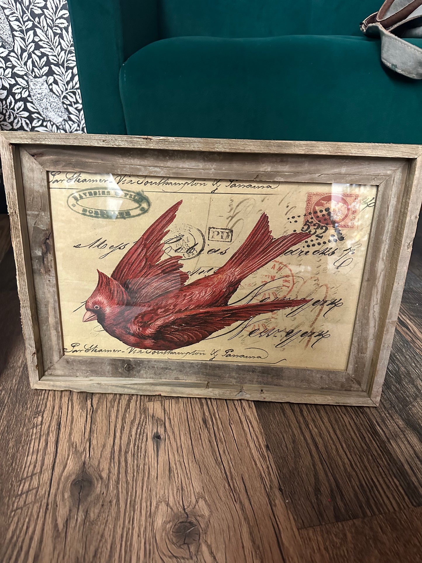 Cardinal Picture