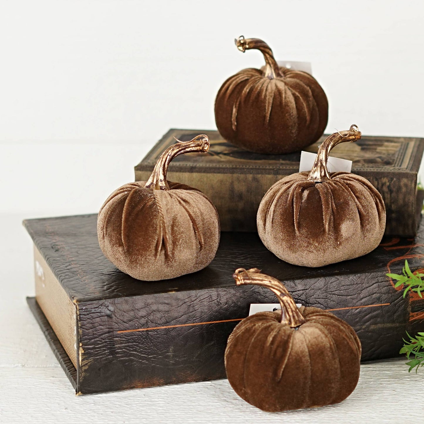 Brown Velvet Pumpkin