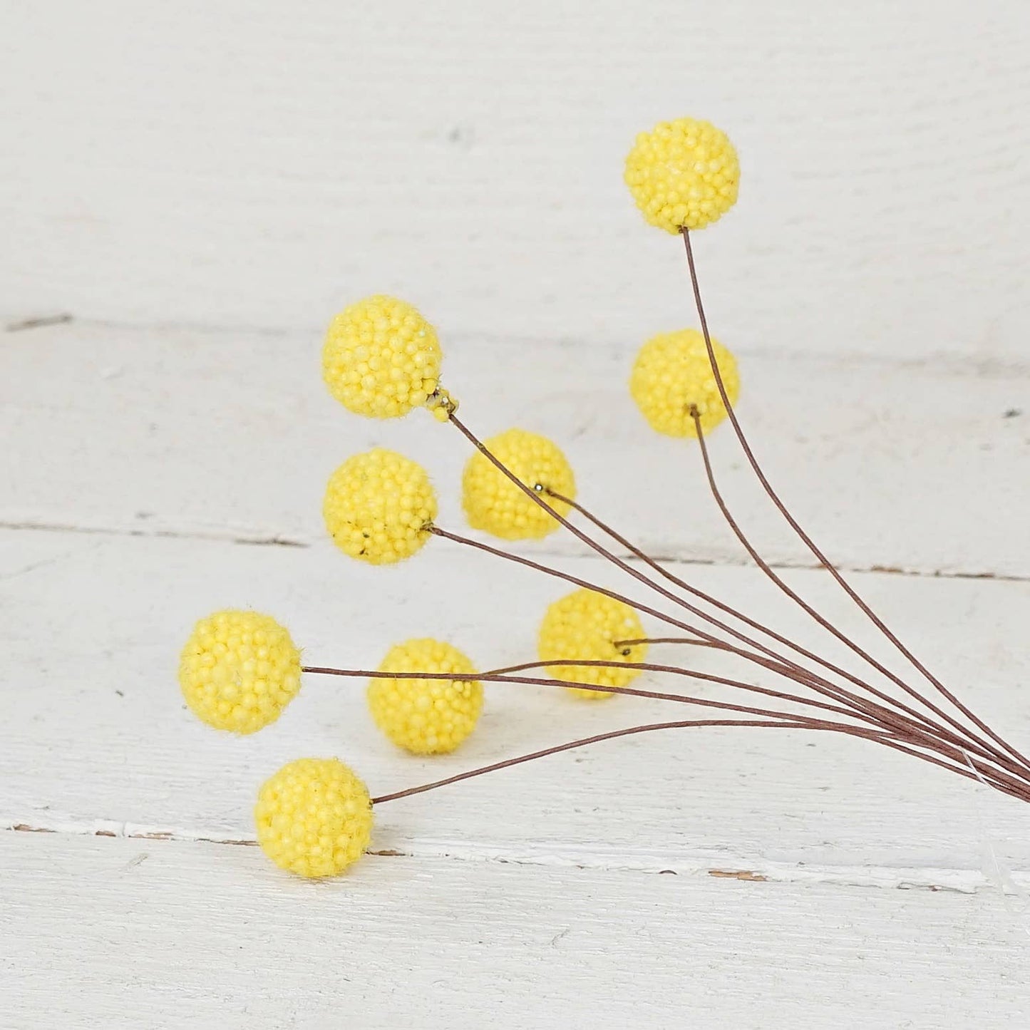 ISB75873- 16inL Billy Ball Bunch-Yellow-