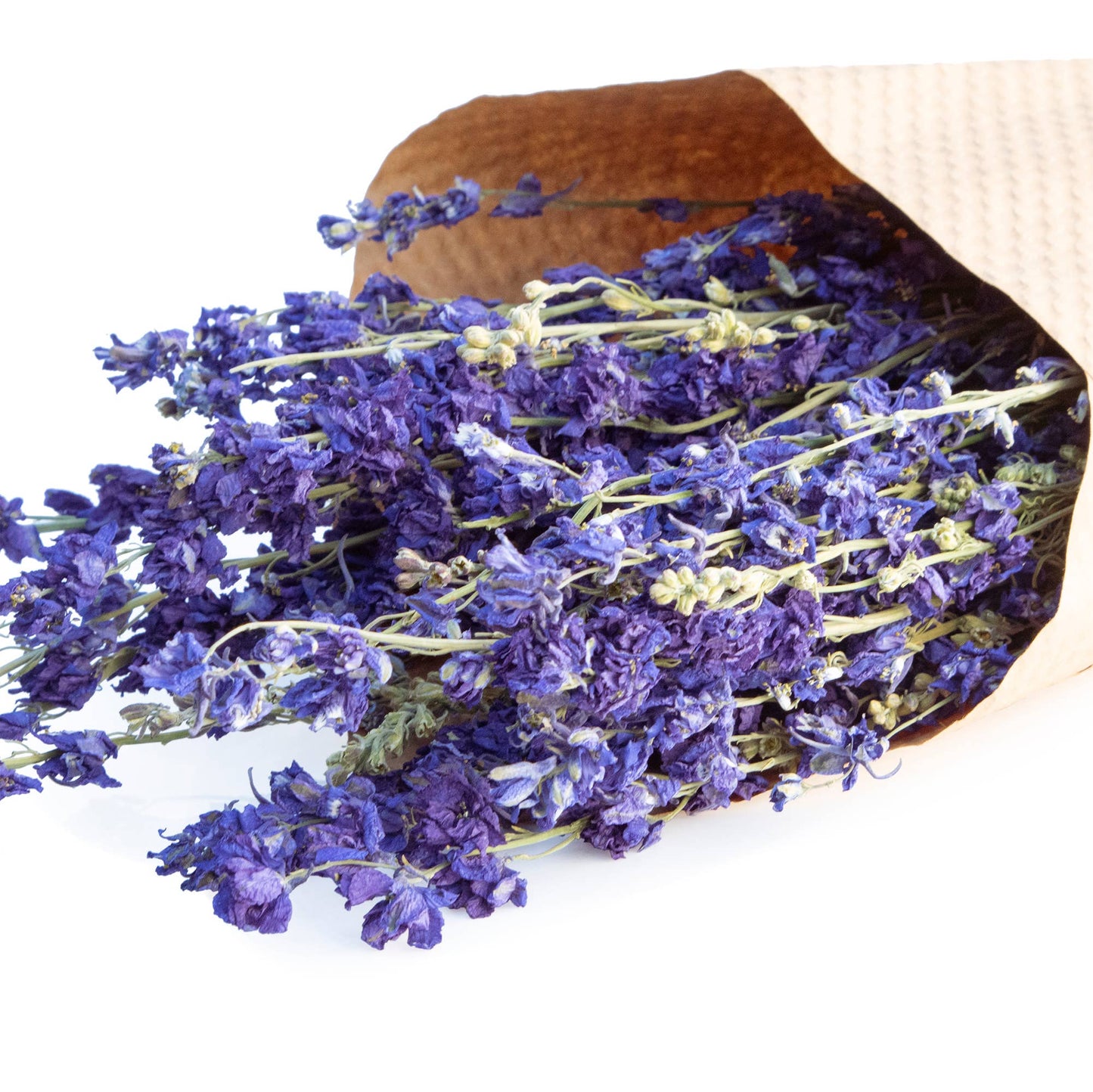 Assorted Dried Larkspur Flower Bundles