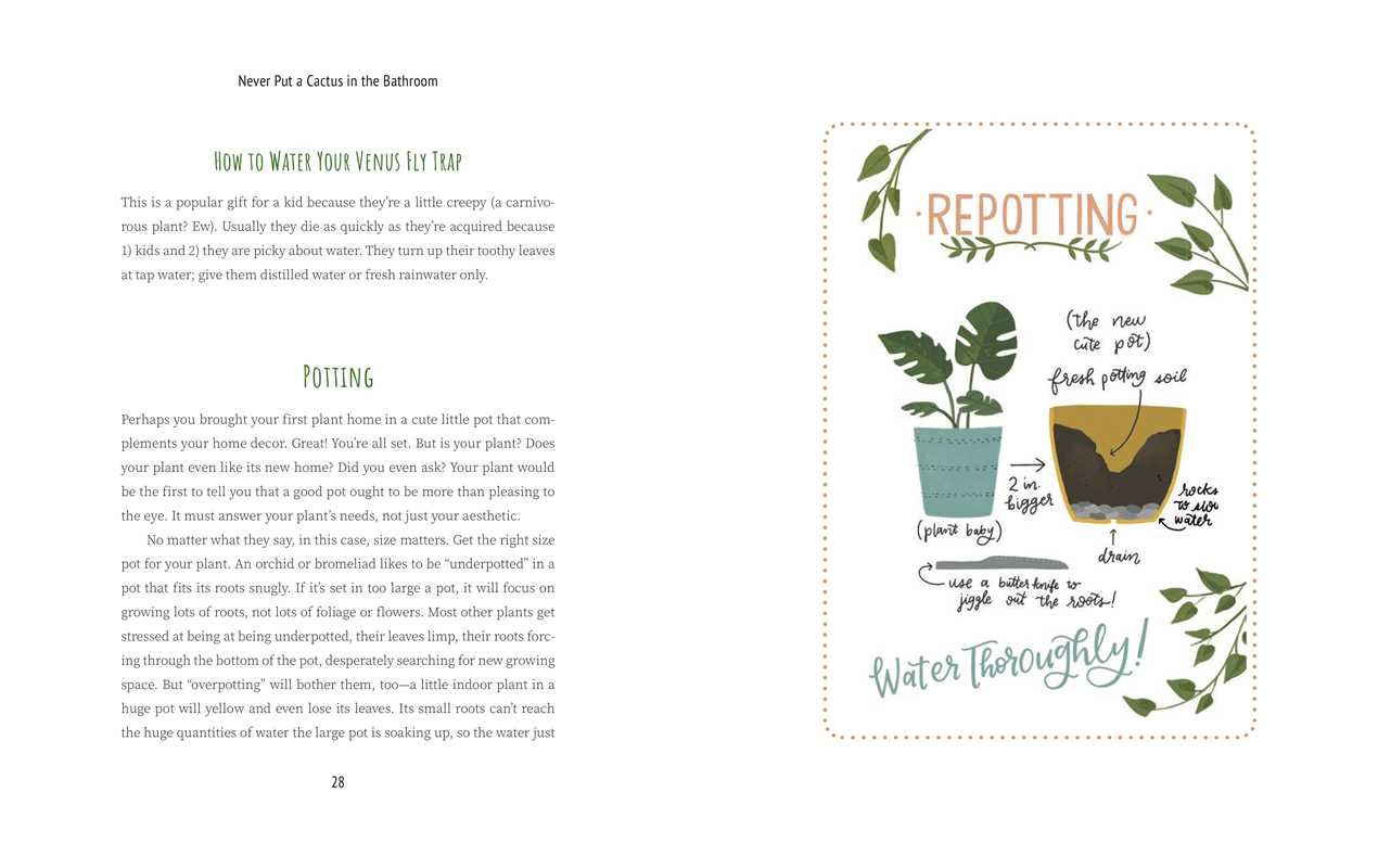 Never Put a Cactus in the Bathroom by Emily L. Hay Hinsdale