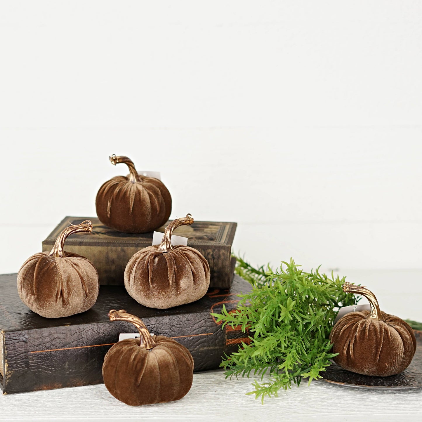 Brown Velvet Pumpkin