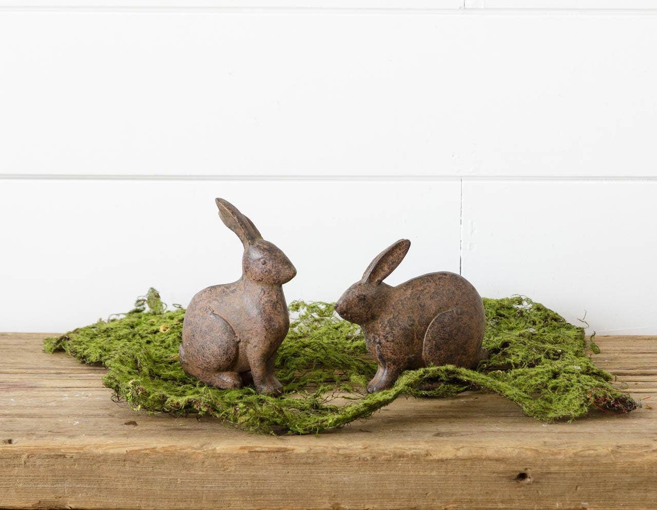 Brown Bunnies - Sitting