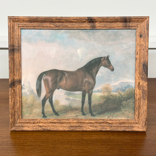 Bay Horse in a Field Antique Framed Art