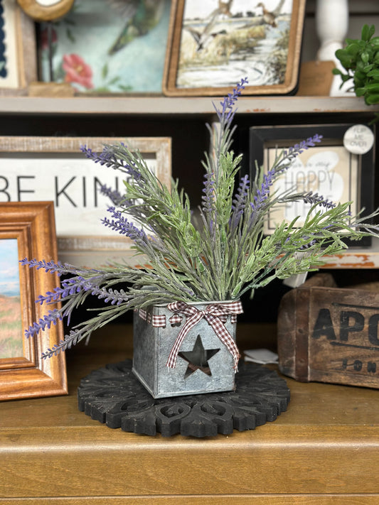 Galvanized Star Container