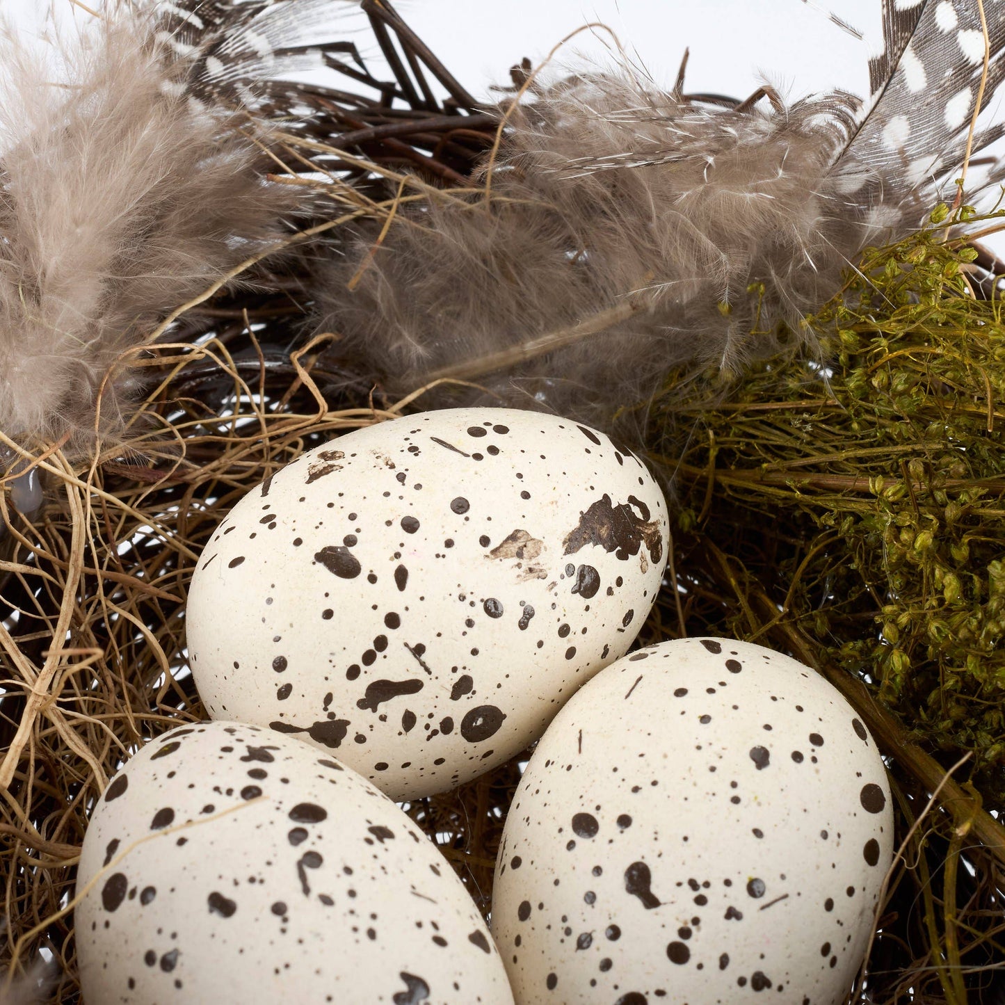 Bird Nest With Eggs Sitter