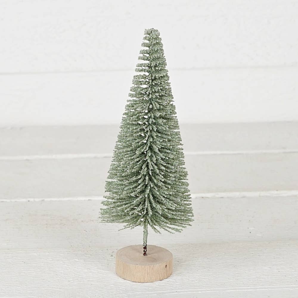 Sage bottle brush tree