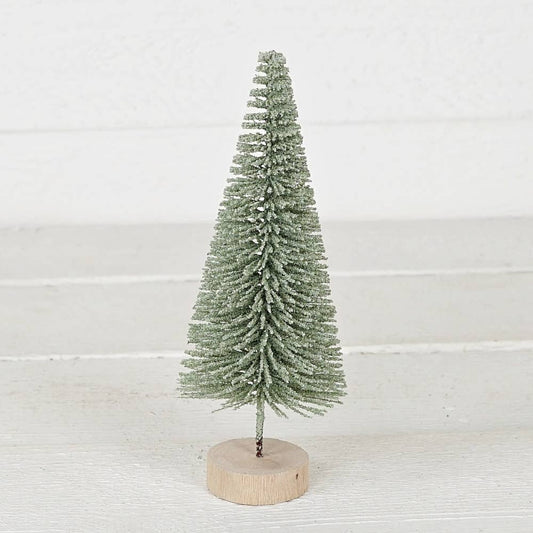 Sage bottle brush tree