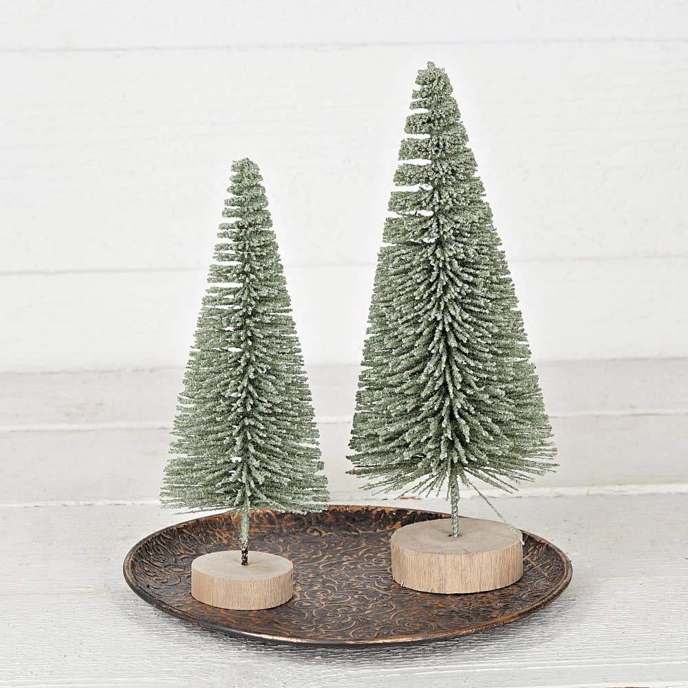 Sage bottle brush tree