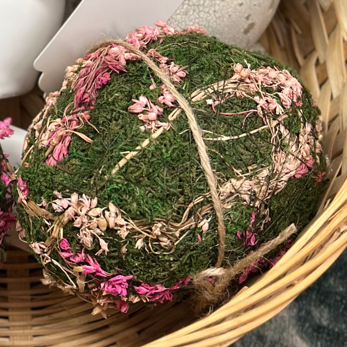 Eva Moss Egg Green/Pink   3x4.5