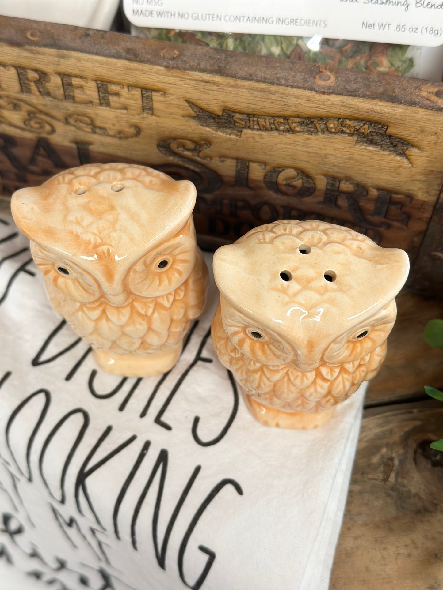 Vintage Ceramic Owl Salt & Pepper Shakers, set