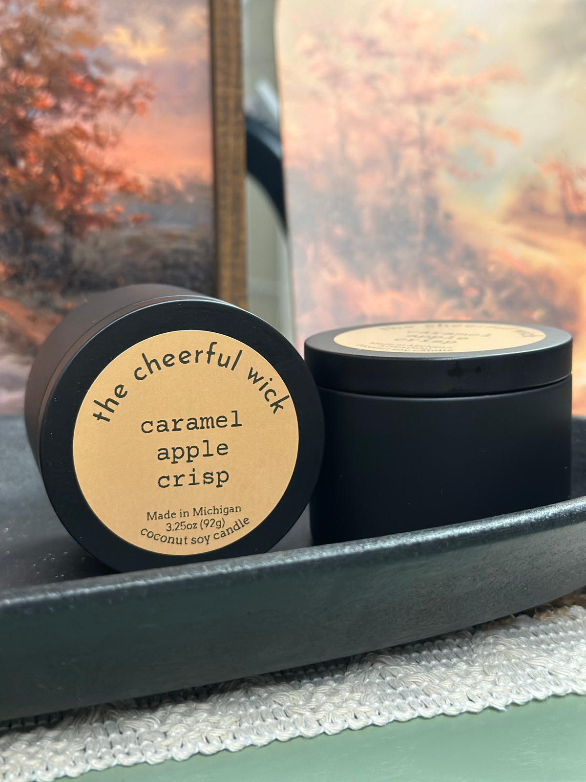 3.5oz Coconut Soy Candles