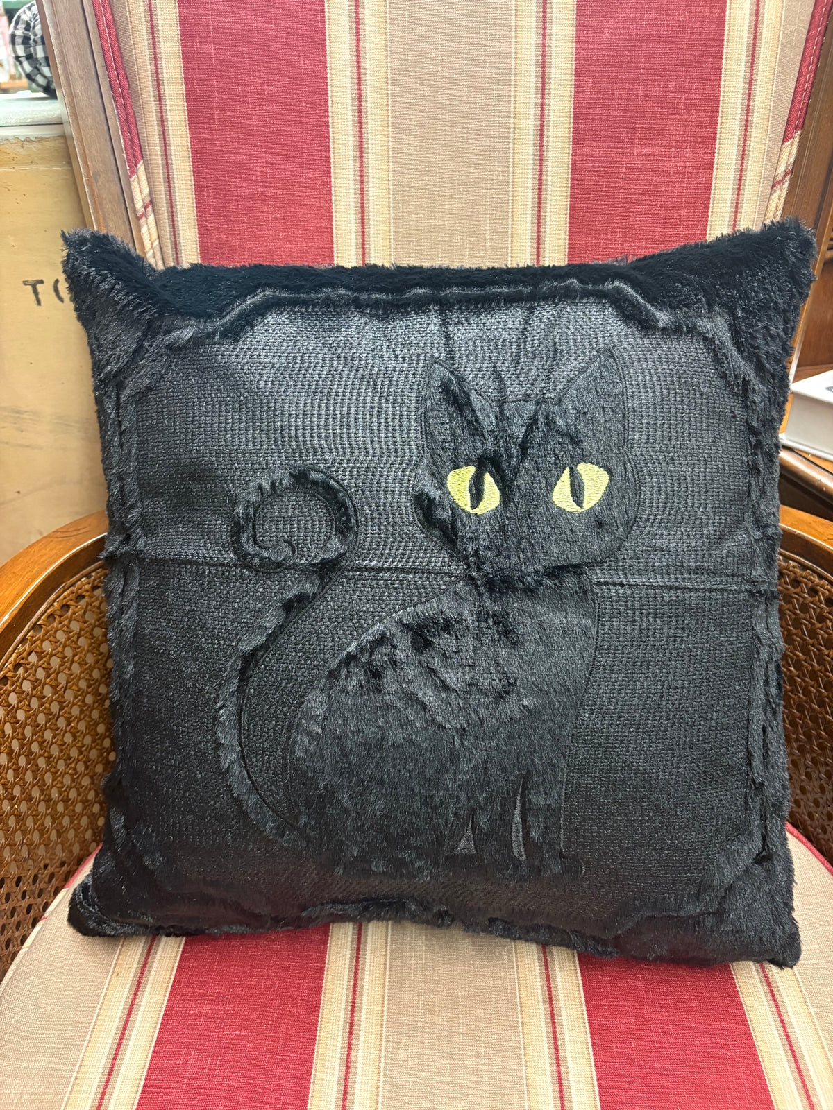 Fall/Halloween Pillows