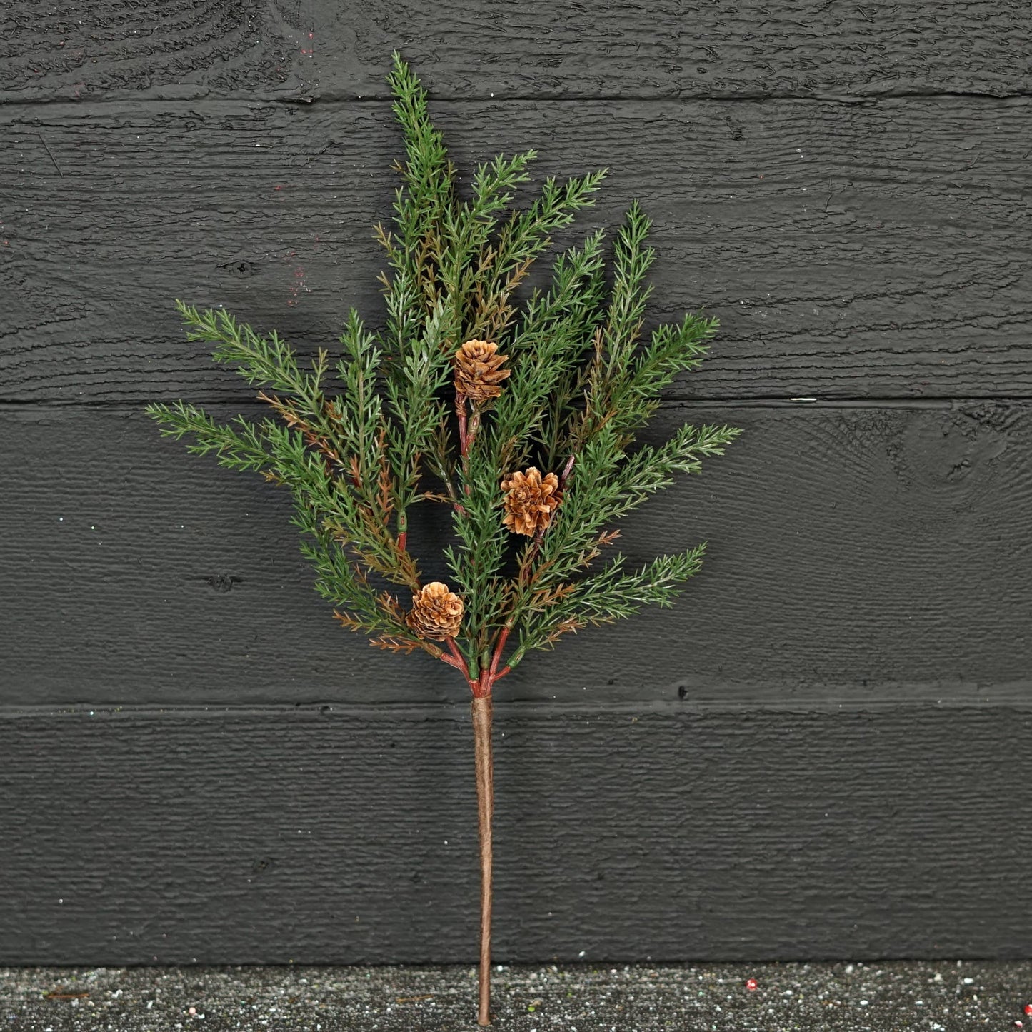 Dark Green Country Cypress Pine w. Pinecone