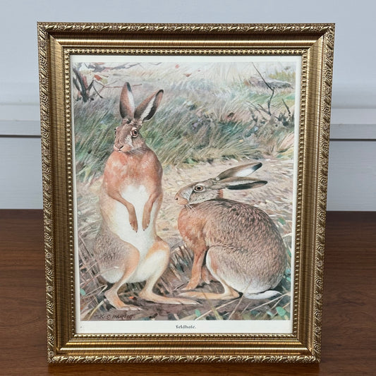 Two Hares in a Field Antique Framed Art
