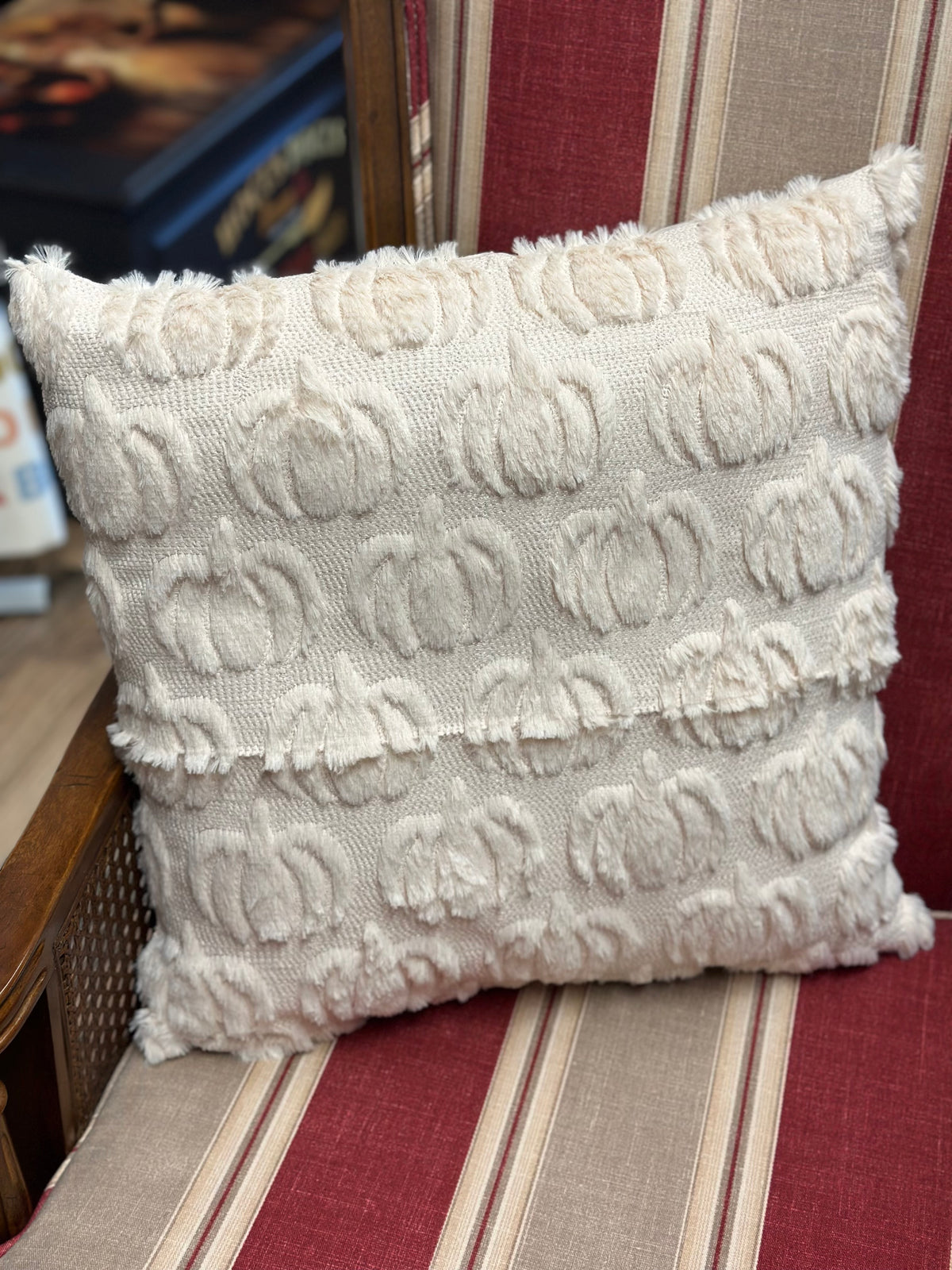 Fall/Halloween Pillows