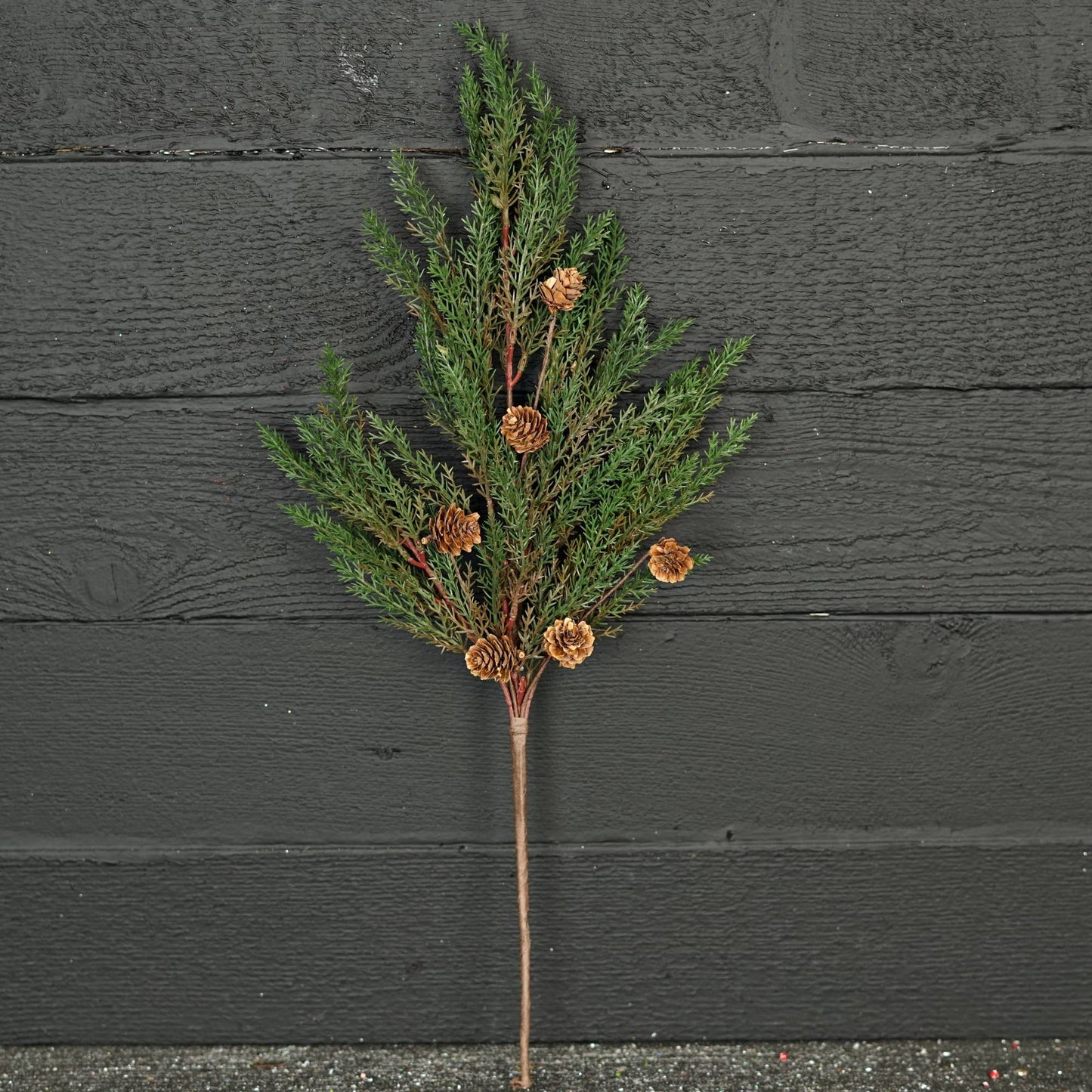 Dark Green Country Cypress Pine w. Pinecone