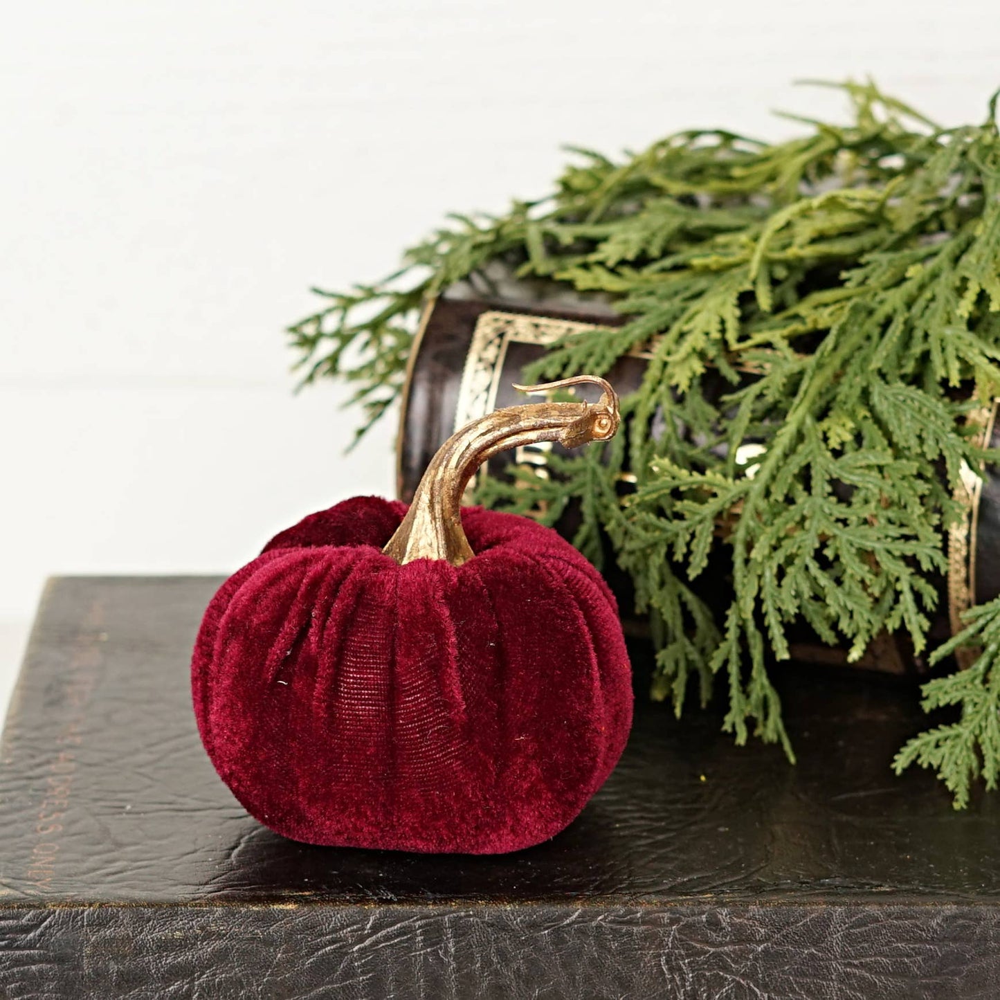 Burgundy Velvet Pumpkin w.Golden Stem