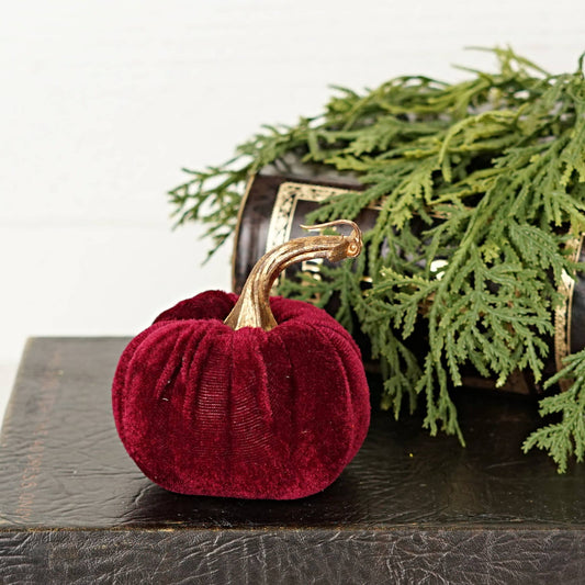 Burgundy Velvet Pumpkin w.Golden Stem