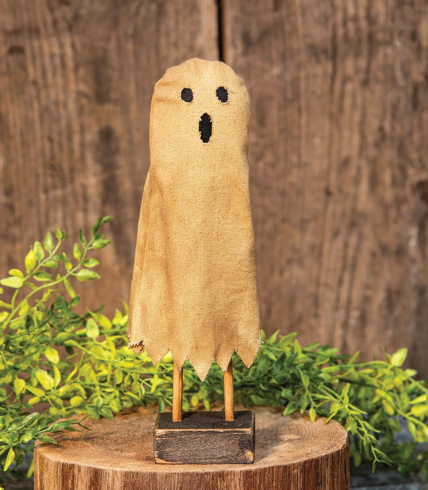 Primitive Ghost on Base