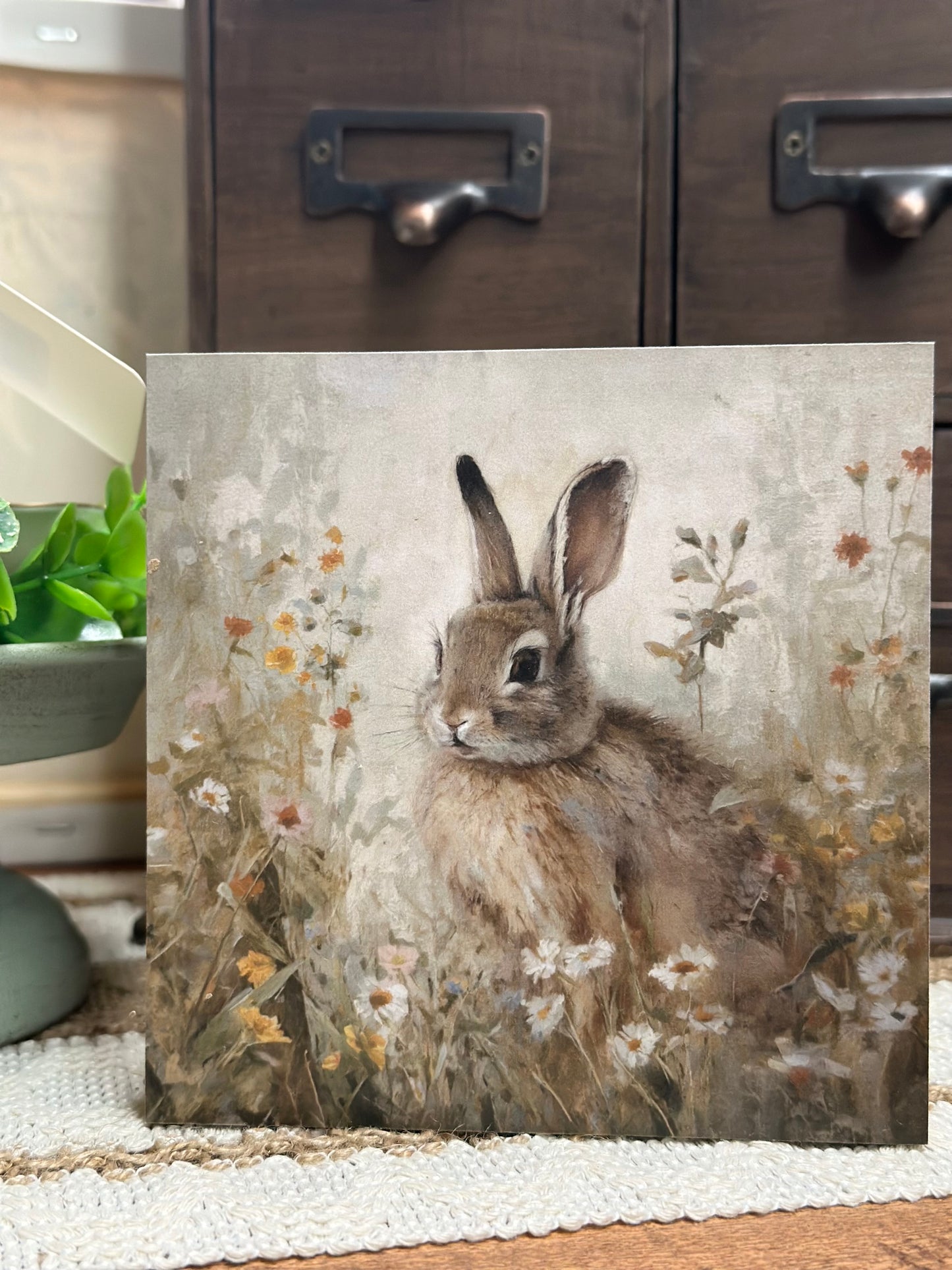 Spring Field Bunny