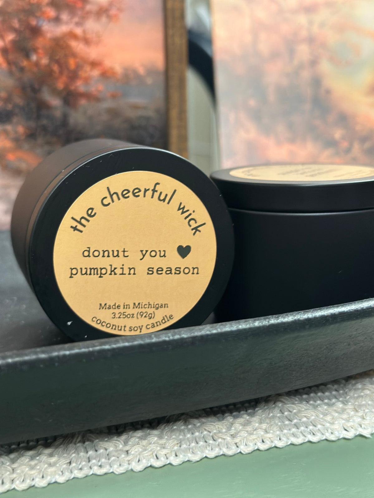 3.5oz Coconut Soy Candles