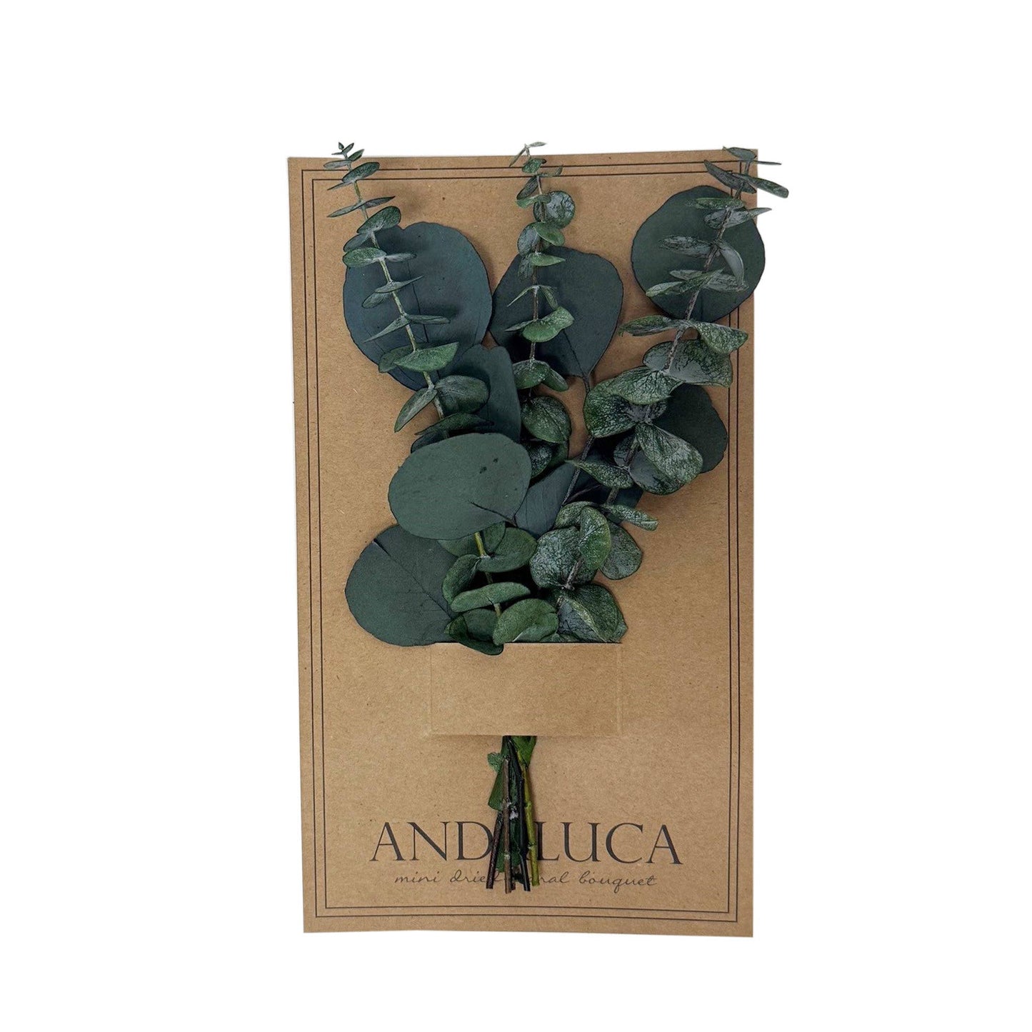 Preserved Baby & Silver Dollar Eucalyptus Mini Bouquet #273