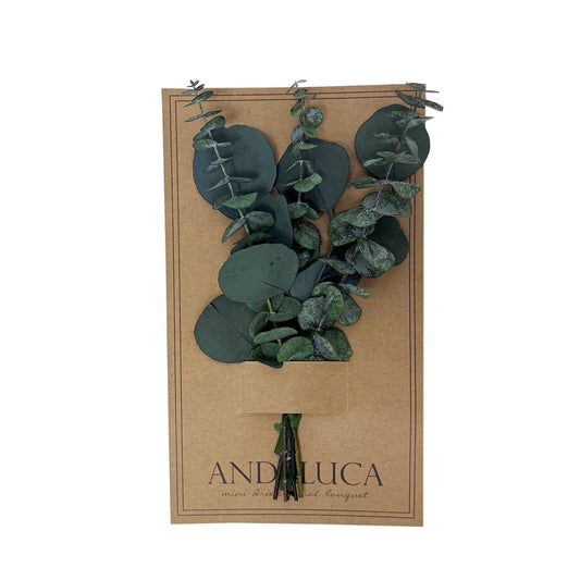 Preserved Baby & Silver Dollar Eucalyptus Mini Bouquet #273