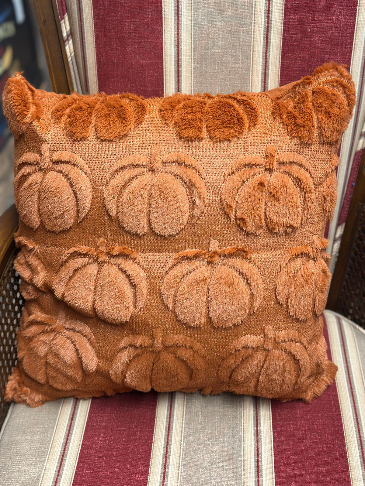 Fall/Halloween Pillows