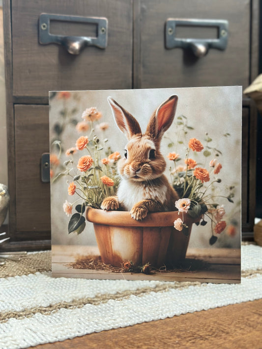 Rabbit in Flower Pot