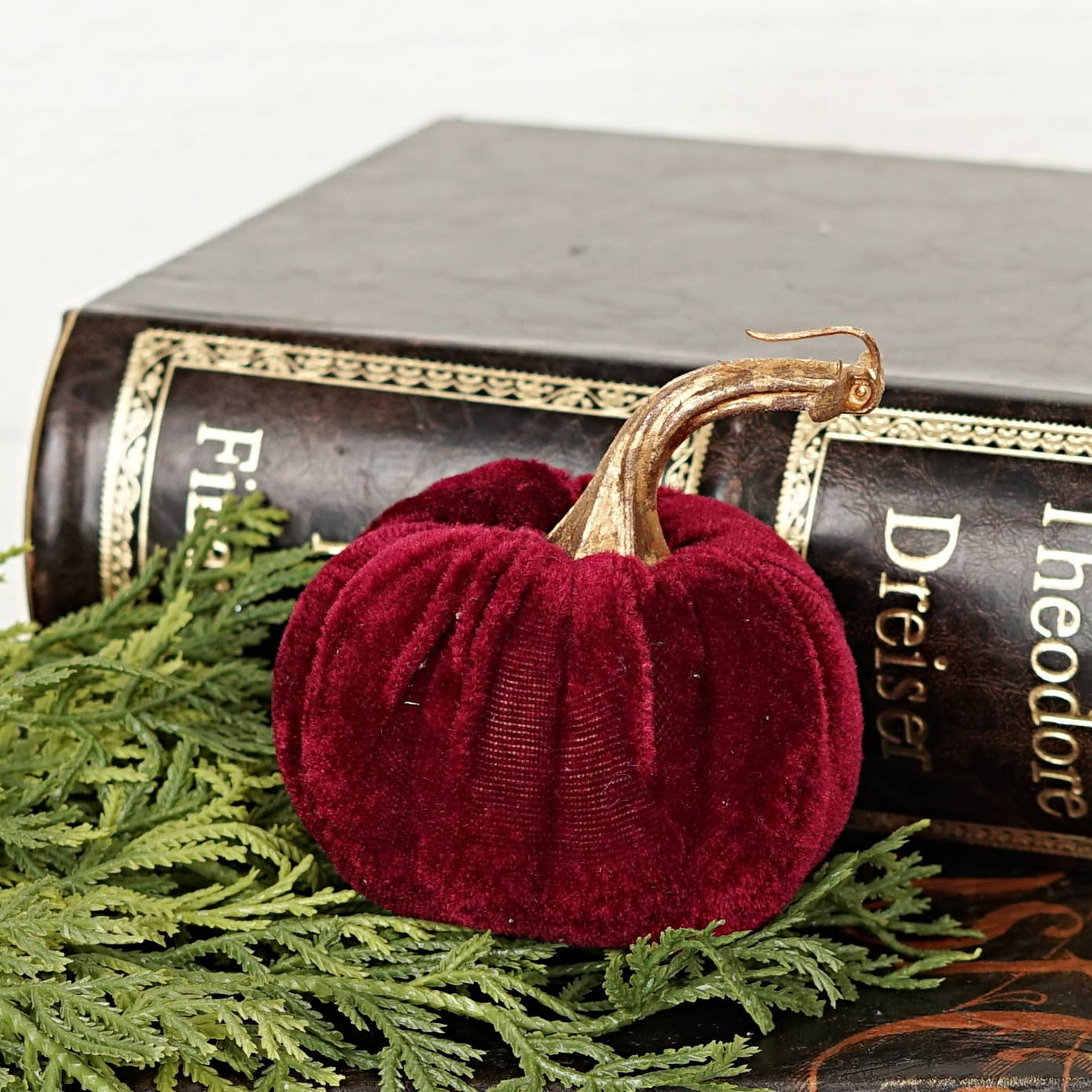 Burgundy Velvet Pumpkin w.Golden Stem