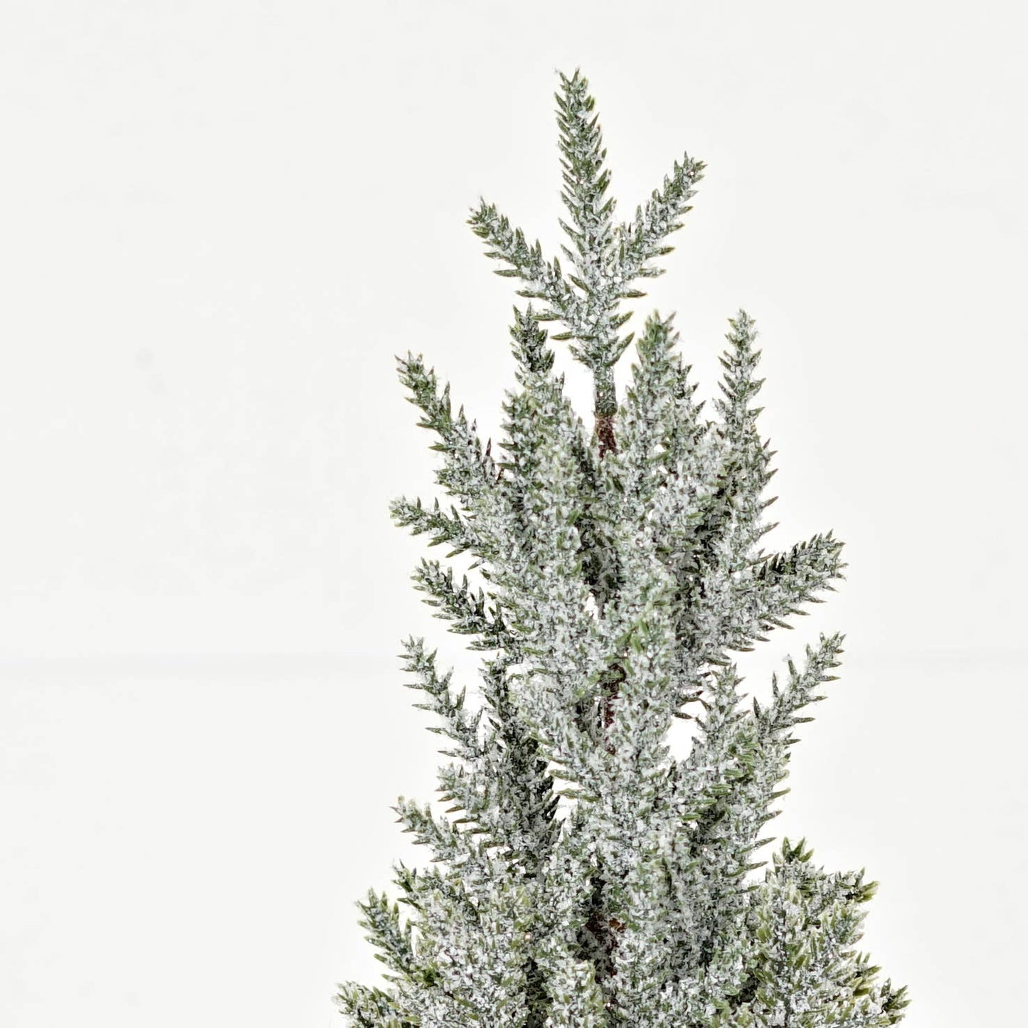 Burlap Snowy Cypress Pine Tree