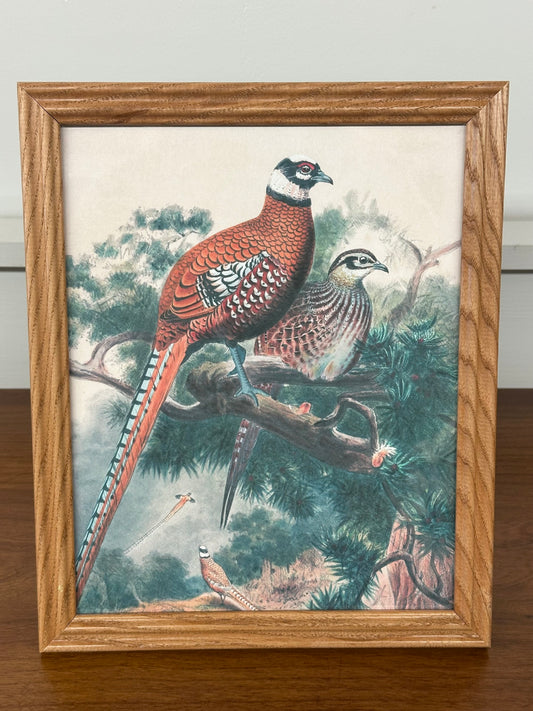 Pair of Pheasants Antique Framed Art