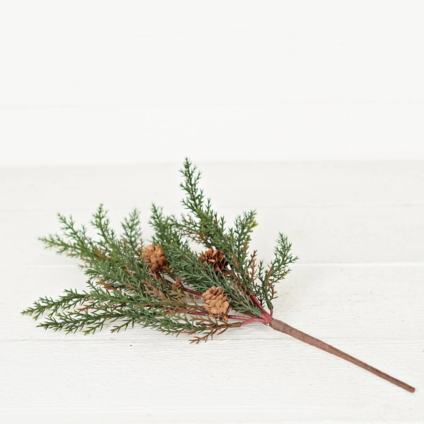 Dark Green Country Cypress Pine w. Pinecone