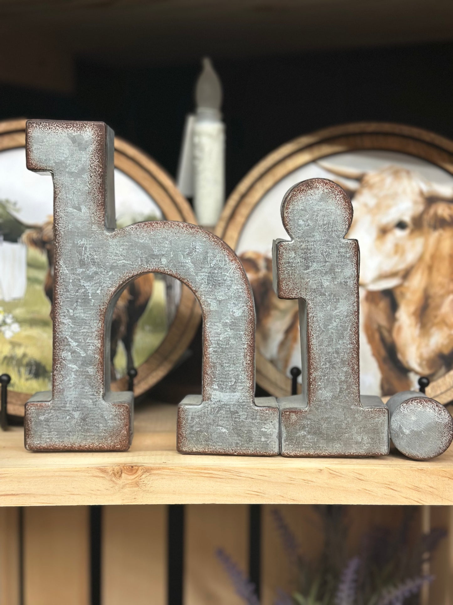 Farmhouse Galvanized “Hi” Sign