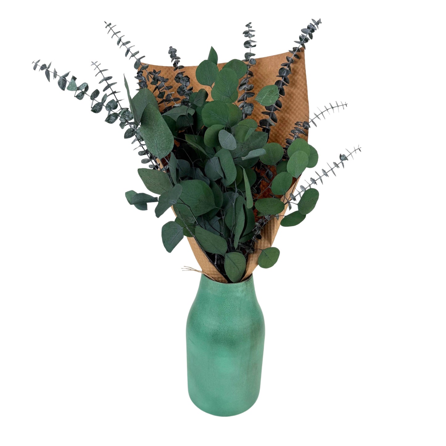 Silver Dollar & Baby Eucalyptus 8 ounce Preserved Bundle