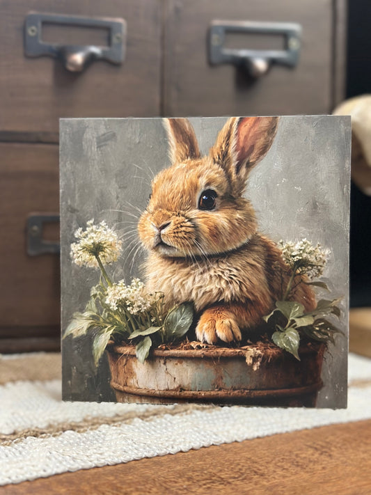 Bunny in Rusty Pail