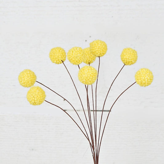 ISB75873- 16inL Billy Ball Bunch-Yellow-